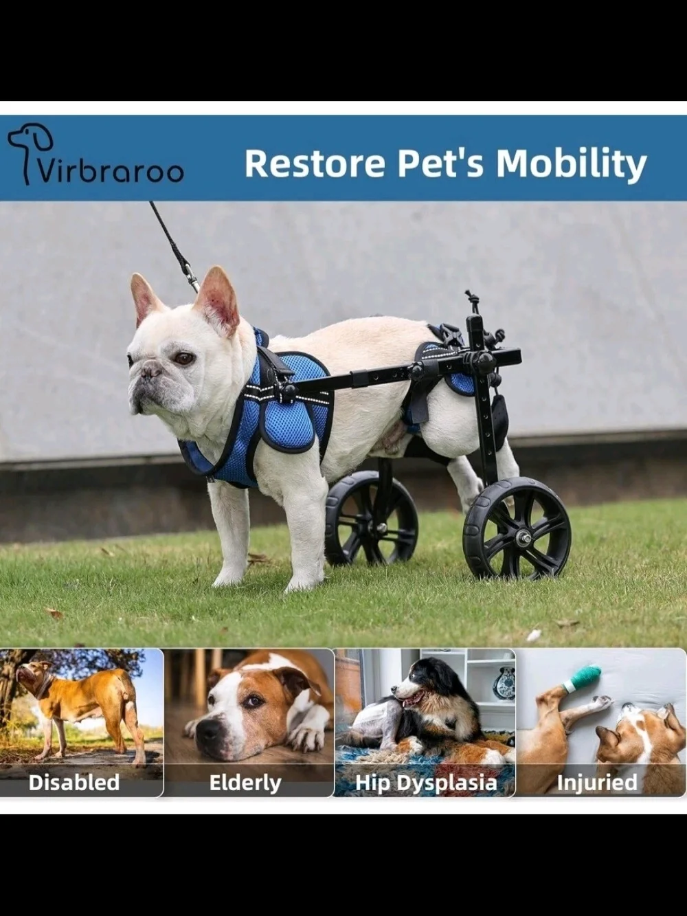 Blue Support Harness for Dogs with Wheelchair Compatibility